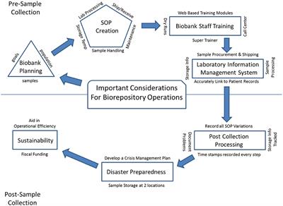 Frontiers | Mini-Review of Laboratory Operations in Biobanking